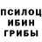 Псилоцибиновые грибы Magic Shrooms Lang Kanai