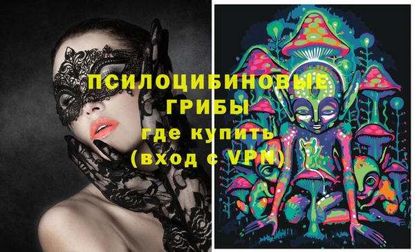 шишки Алексеевка