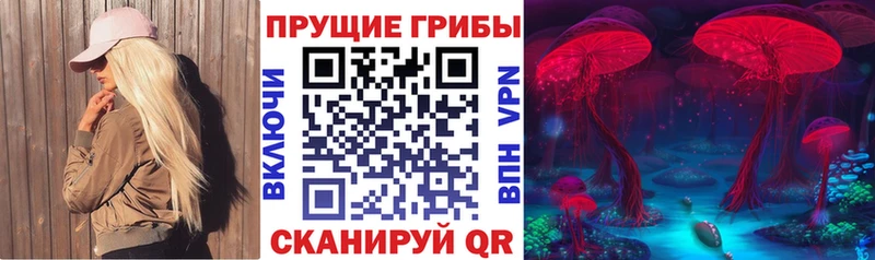 Галлюциногенные грибы Psilocybine cubensis  Устюжна 